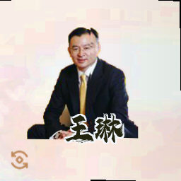 王琳